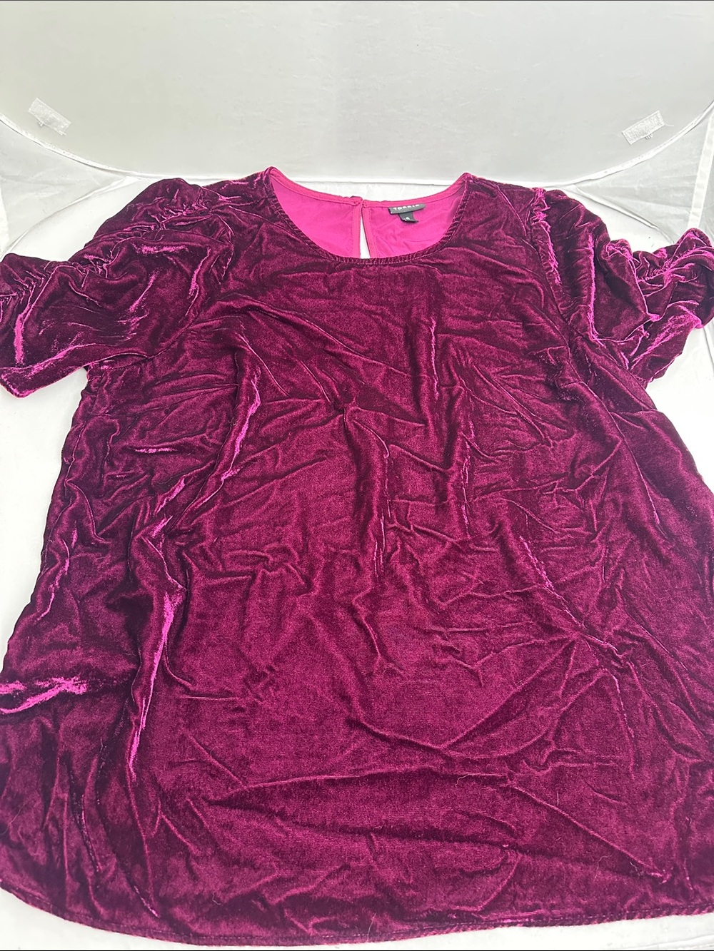 Velvet Short Sleeve Scoop Neck Top in Wine by Unknown Brand